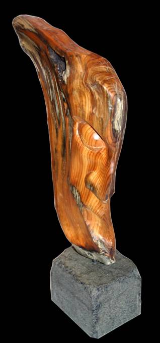 2003 Fúi