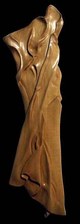 2006 Cloth