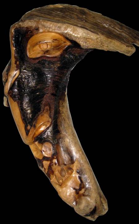 2008 Pan 46x37x16cm