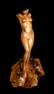2001 Venus.jpg